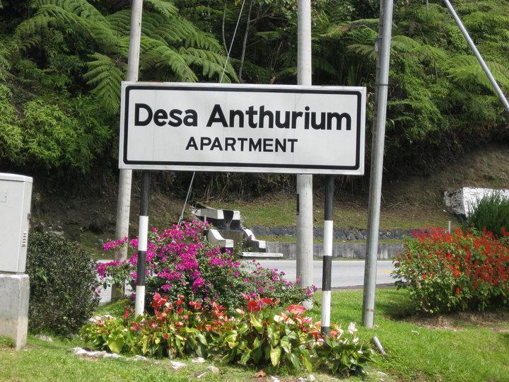 Sa Apartments @ Desa Anthurium Cameron Highlands Exteriör bild